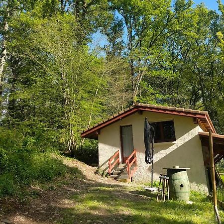 appartement meublé sur la route de Compostelle ! Aire-sur-lʼAdour Esterno foto