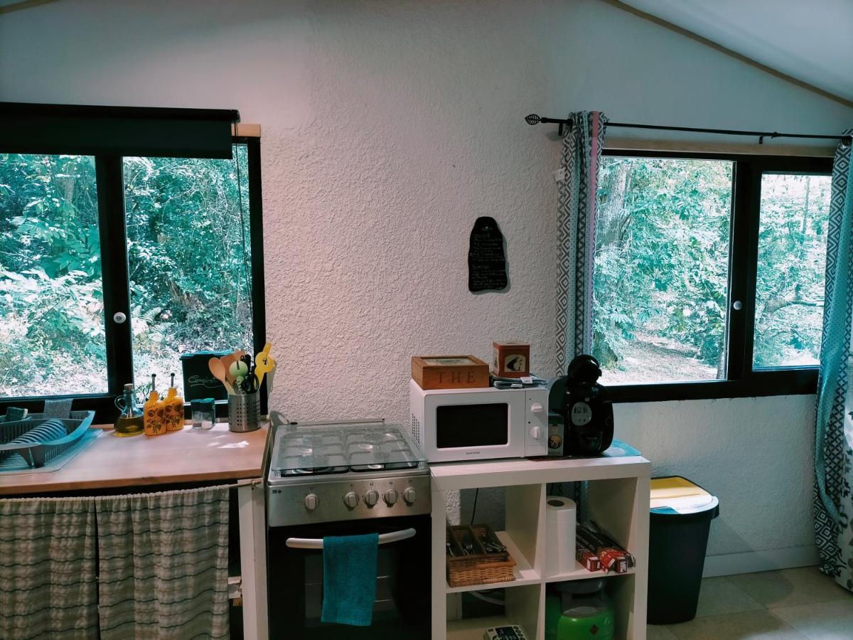 appartement meublé sur la route de Compostelle ! Aire-sur-lʼAdour Esterno foto