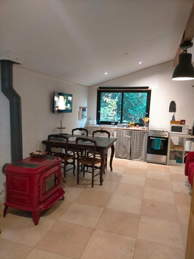 appartement meublé sur la route de Compostelle ! Aire-sur-lʼAdour Esterno foto